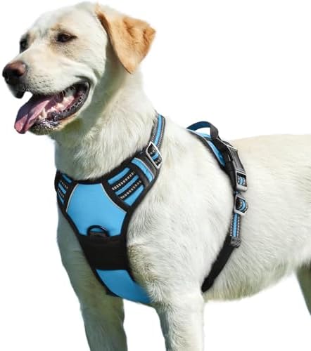 Eagloo Dog Harness for Large Dogs, No Pull Pet Vest by GoExplorewithEagloo