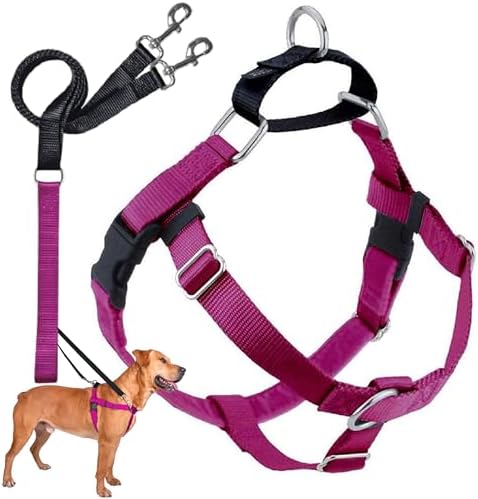 2 Hounds Design Freedom No Pull Dog Harness and Leash, 5/8" XS by 2HoundsDesign