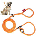 Harness Lead No Pull Dog Harness and Leash Set, Anti Pull Dog Harness by HarnessLead