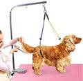 Oumefar Adjustable Pet Grooming Leash No-Sit Haunch Holder Restraint Wash by Oumefar