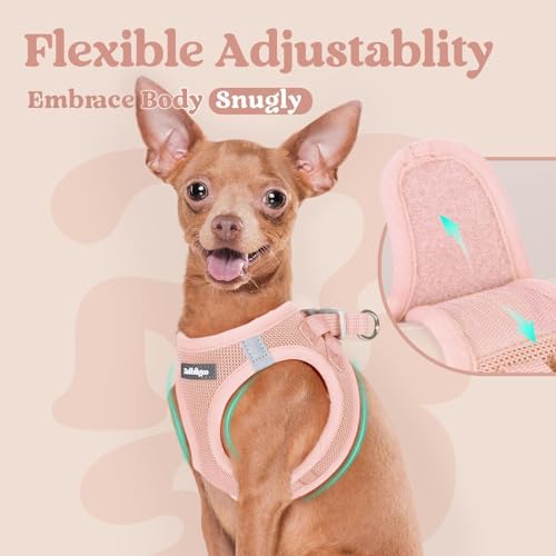 rabbitgoo Step-in Small Dog Harness, Puppy Vest - Image 5