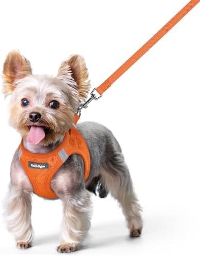 rabbitgoo Dog Harness Small Sized and Leash Set, Step-in Puppy Pet Vest by rabbitgoo