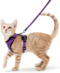rabbitgoo Cat Harness and Leash Set, Escape Proof Vest by rabbitgoo