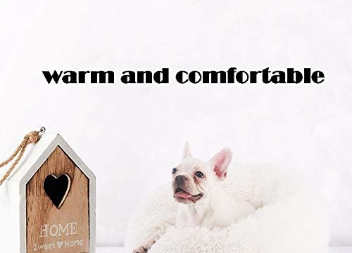 Cat Bed for Indoor Cats, Mini Plush Self Warming Kitten Bed, 20 Inch - Image 5