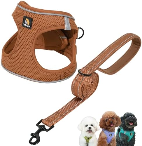 BELLA & PAL Step in Puppy Harness and Leash Set by BELLAPAL