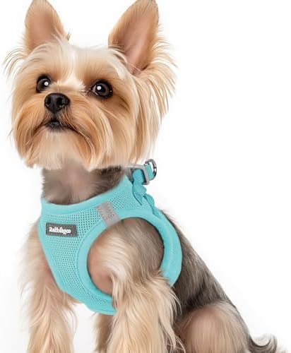rabbitgoo Step-in Small Dog Harness, Puppy Vest by rabbitgoo