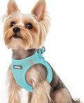 rabbitgoo Step-in Small Dog Harness, Puppy Vest by rabbitgoo