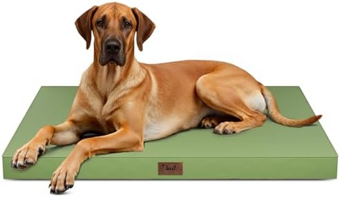 Jumbo Waterproof Orthopedic Dog Bed by TailStories