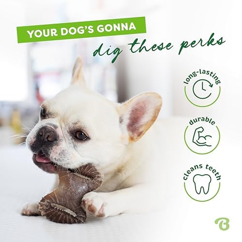 Benebone Tiny 2-Pack Dog Chew Toys, Real Bacon - Image 3