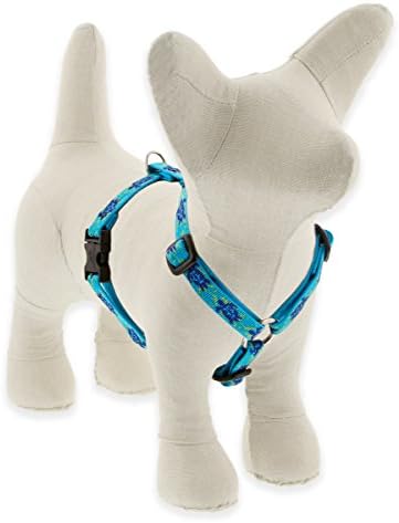 LupinePet Originals 1/2" Turtle Reef 12-20" Adjustable Roman Dog Harness by LupinePet