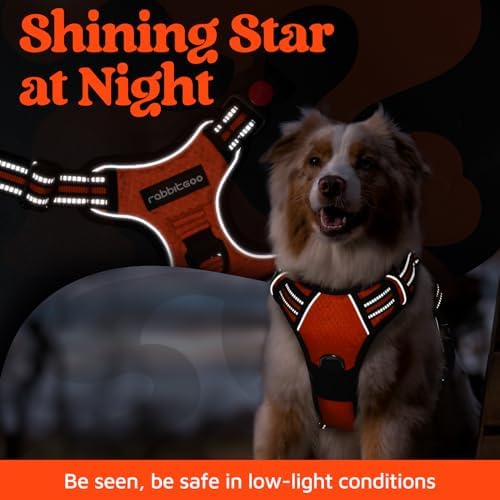 rabbitgoo Dog Harness Small Sized, No Pull 3 Buckles Easy On & Off - Image 6