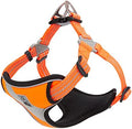 TRUE LOVE Step-in Dog Harness, Reflective, Breathable by TRUELOVE
