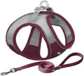 AIITLE Dog Harness and Leash Set, Step-in Puppy Pet Vest, Burgundy XS by AIITLE-FORPETSBETTERLIFE