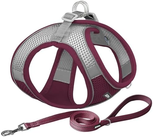AIITLE Dog Harness and Leash Set, Step-in Puppy Pet Vest, Burgundy XS by AIITLE-FORPETSBETTERLIFE