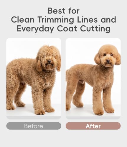 7'' Dog Straight Scissors for Grooming 440C Stainless Steel Rose Gold - Image 5