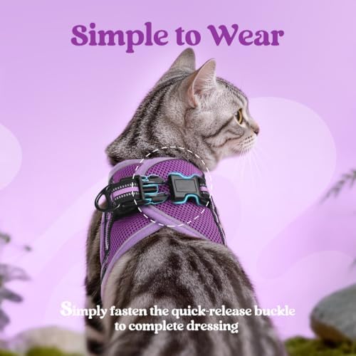 rabbitgoo Cat Harness and Leash Set, Step-in Soft Vest - Image 4