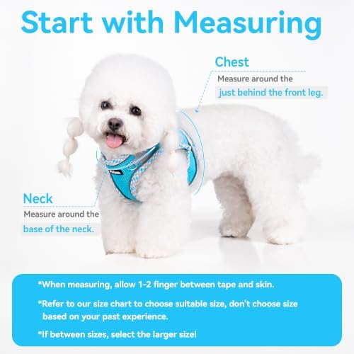 Petank Step in Dog Harness No Pull and Leash - Image 4