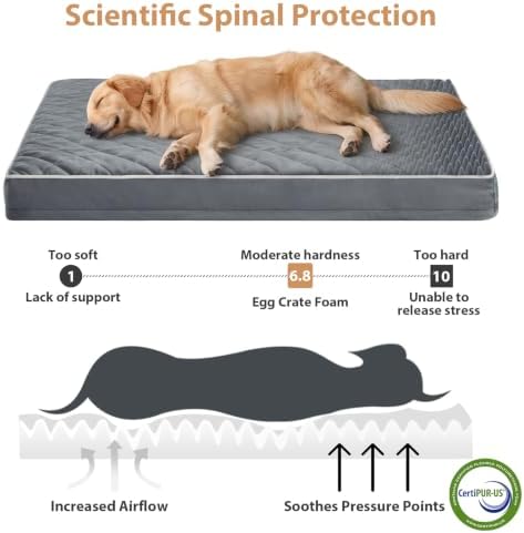 WNPETHOME Orthopedic XXL Dog Beds - Image 3