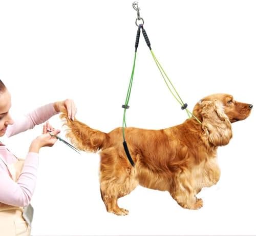 Oumefar Adjustable Pet Grooming Leash No-Sit Haunch Holder Restraint Wash - Image 5
