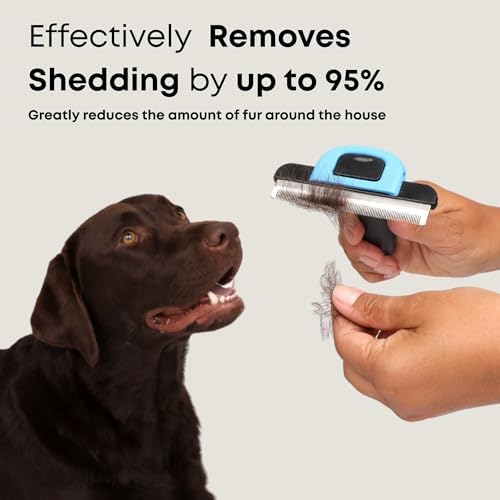 Short Hair Deshedding Brush for Dogs & Cats - Image 2
