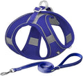 AIITLE Dog Harness and Leash Set, Step-in Puppy Pet Vest, Royal Blue L by AIITLE-FORPETSBETTERLIFE