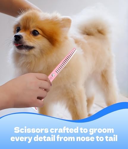 7" Professional Curved Dog Grooming Scissors, Japanese 440C Stainless Steel Dog - Image 5
