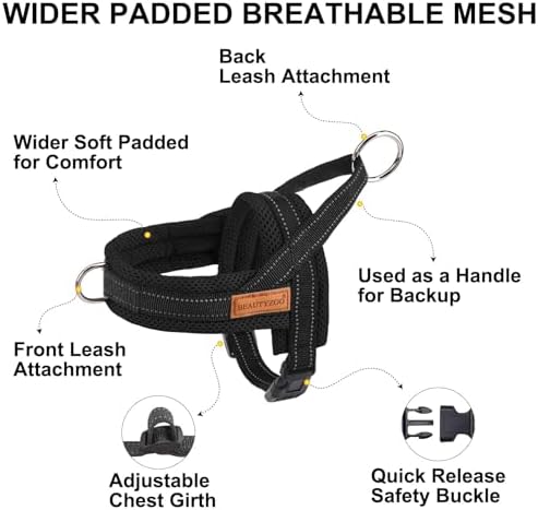 BEAUTYZOO Small Dog Harness and Leash Set, No Pull Step in Puppy Vest - Image 3