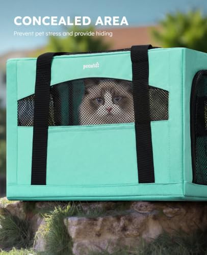 Pecute Cat Carrier Stable, Pet Carrier - Image 4