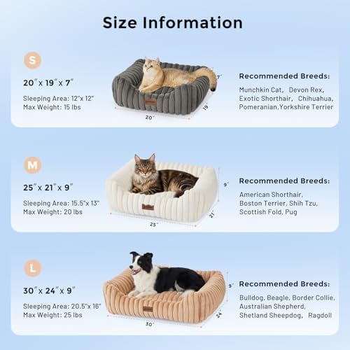 ZOMISIA Small Dog Bed, Cat Bed for Indoor Cats - Image 2