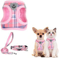 PUPTECK Dog Harness, Collar and Leash Set No Pull by PUPTECK