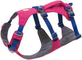 Ruffwear, Flagline Dog Body Harness, Alpenglow Pink, Large/X-Large by RuffwearInc