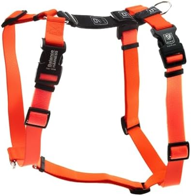 Blue-9 Balance Harness® for Dogs, Buckle-Neck by Blue-9