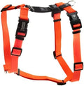 Blue-9 Balance Harness® for Dogs, Buckle-Neck by Blue-9