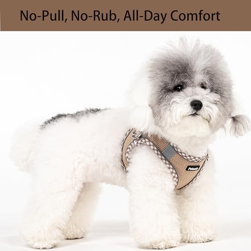 Petank Step in Dog Harness No Pull and Leash - Image 2