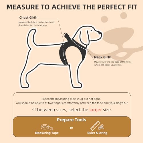 PUPTECK Adjustable Dog Harness Collar and Leash Set Step in No Pull Pet Harness - Image 2
