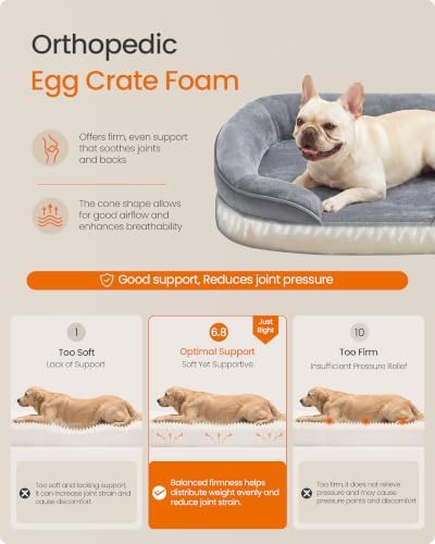 Feandrea Orthopedic Dog Bed - Image 3