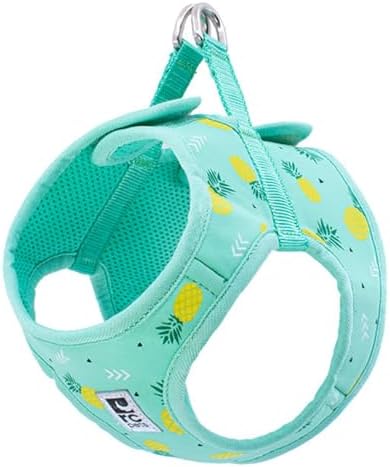 RC Pet Products Cirque Soft Walking Step-in Dog Harness, Pineapple Parade by RCPets
