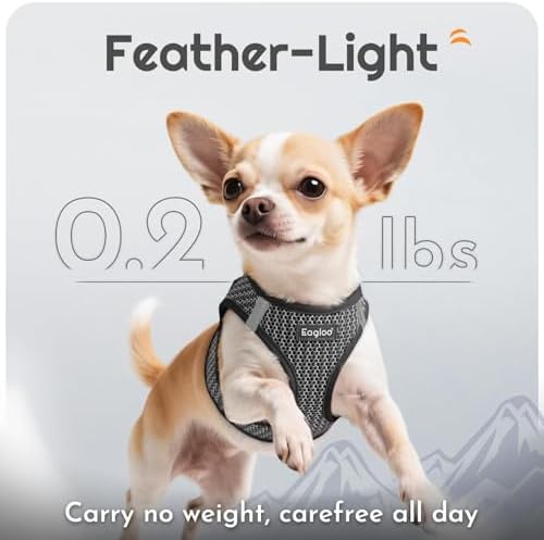 Eagloo Small Dog Harness and Leash Set, Step in Small Sized Puppy Pet Vest - Image 5