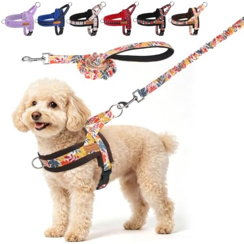 BEAUTYZOO Dog Harness Medium Sized and Leash Set, No Pull Pet Vest by BEAUTYZOO