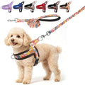 BEAUTYZOO Dog Harness Medium Sized and Leash Set, No Pull Pet Vest by BEAUTYZOO