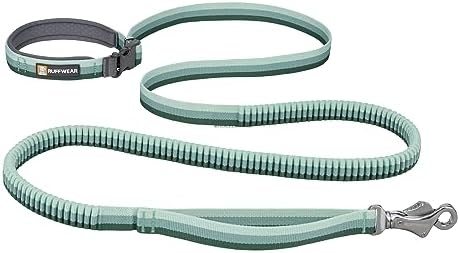 Ruffwear, Roamer Bungee Dog Leash, River Rock Green by RuffwearInc