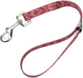 Country Brook Petz by CountryBrookPetz