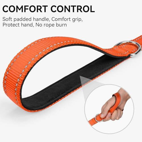 Joytale Reflective Dog Leash for Medium & Large Dogs, 6 FT x 1" - Image 3