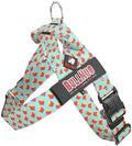 BULLHUG Adjustable Dog Harness– No Pull, No Choke – by BULLHUG