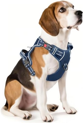 Timos Dog Harness Medium Sized, Quick Release 3 Buckles, Royal Blue by Timos