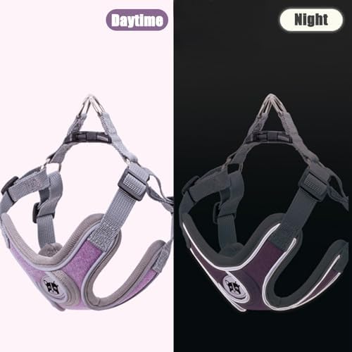 Patas Lague Dog Harness with Leash Set - Image 4