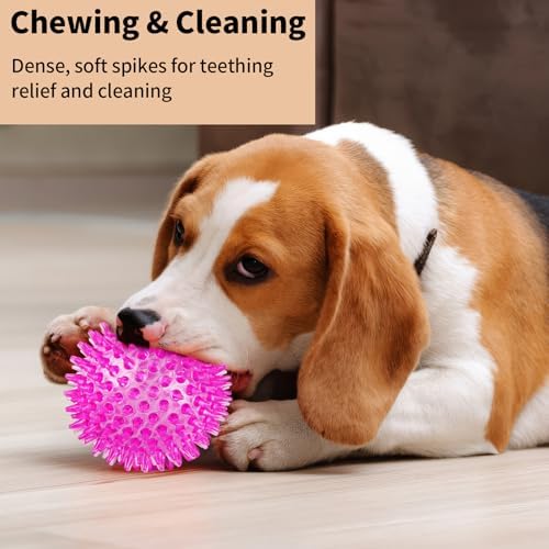 6 Pack Squeaky Spiky Dog Balls, Puppy Chew Toys - Image 6