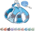 AIITLE Medium Dog Harness and Leash Set by AIITLE-FORPETSBETTERLIFE