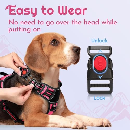Eagloo Dog Harness No Pull for Small Dogs, Easy On & Off - Image 3