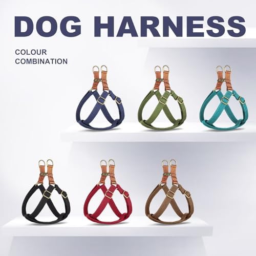 Didog Step in Dog Harnes for Small Dogs, Chest 14-22" - Image 6